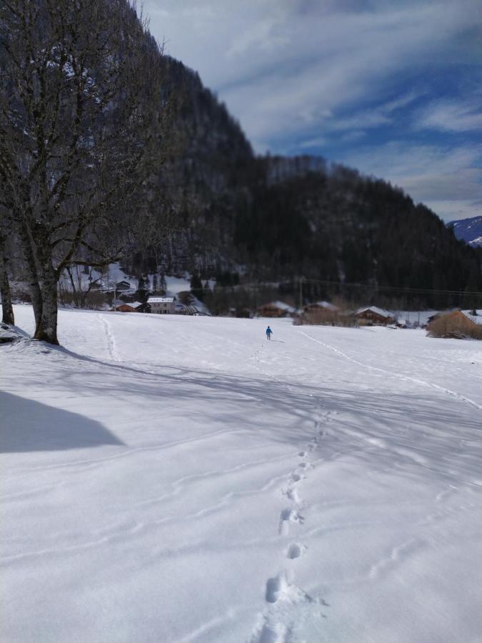Le Clair Logis Villa Sixt-Fer-a-Cheval Luaran gambar